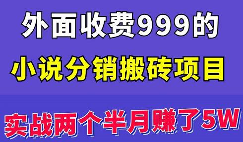 外面收费999的小说分销搬砖项目：实战两个半月赚了5W块，操作简单