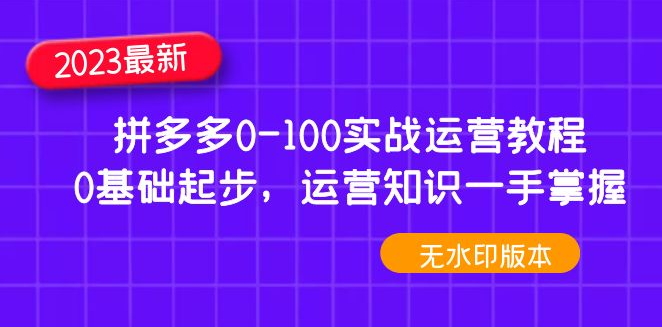 图片[1]-【电商运营】2023年拼多多0-100实战运营教程，0基础起步，运营知识一手掌握（无水印）-吾图资源网