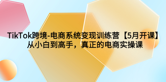 图片[1]-TikTok电商跨境变现实操课程，从小白到高手一步搭建自己的电商帝国-阿灿说钱