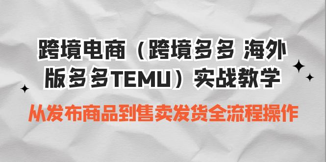 图片[1]-跨境多多TEMU全套实战教程：从商品发布到发货全流程掌握-阿灿说钱