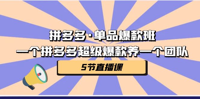 图片[1]-拼多多·单品爆款班，一个拼多多超级爆款养一个团队（5节直播课）-阿灿说钱