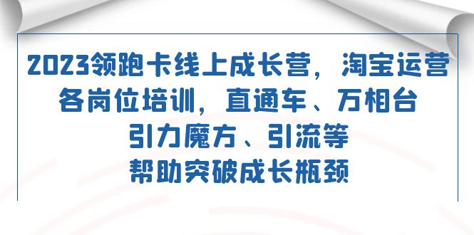 图片[1]-2023领跑·卡 线上成长营 淘宝运营各岗位培训 直通车 万相台 引力魔方 引流-阿灿说钱