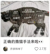 图片[19]-只靠封面就能上千赞？快来学习这些爆款封面技巧！-吾图资源网