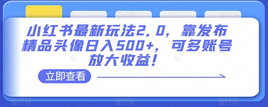 图片[1]-小红书最新玩法2.0：发布精品头像日入500+，多账号放大收益！-阿灿说钱