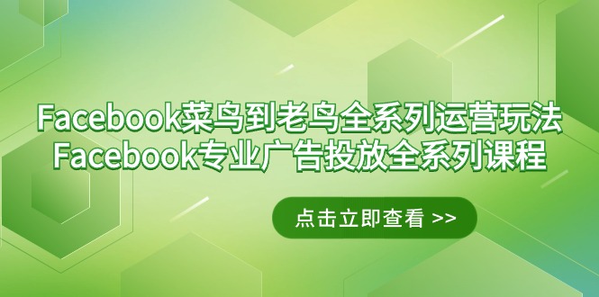 图片[1]-Facebook-菜鸟到老鸟全系列运营玩法+Facebook-专业广告投放全系列课程-阿灿说钱