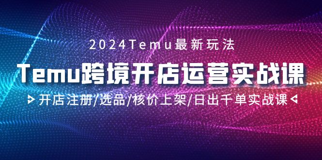 图片[1]-2024Temu跨境开店运营实战教程，开店注册/选品/核价上架/日出千单实战课-阿灿说钱