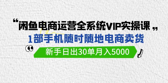 图片[1]-闲鱼电商运营全系统VIP实战课，1部手机随时随地卖货，新手日出30单月入5000-阿灿说钱