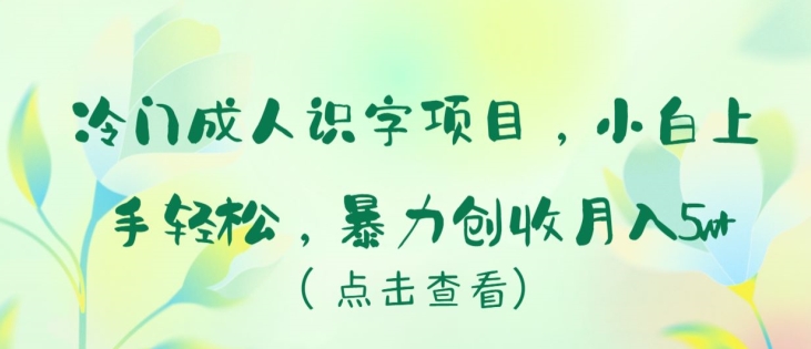 冷门项目成人识字，新手小白上手轻松，暴力创收月入5W 【揭秘】