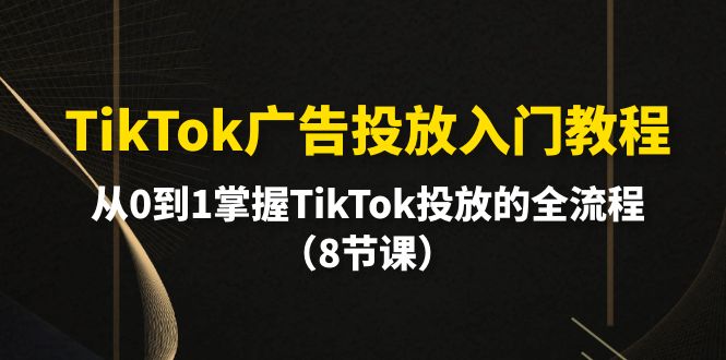 图片[1]-TikTok广告投放入门教程，从0到1掌握TikTok投放的全流程（8节课）-阿灿说钱